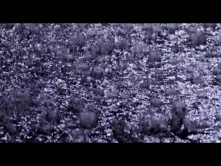 Adhi Adhi Raat Bilal Saeed Video Song