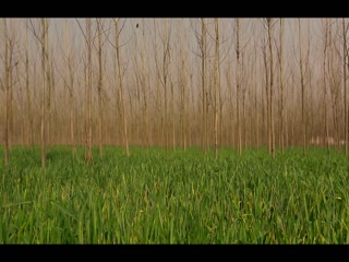 Bhagat Singh Video Song ethumb-005.jpg