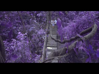 Husn Raj Brar Video Song