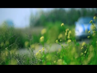 Suhe Bull Veer Davinder Video Song