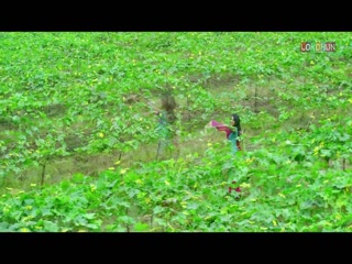 Tere Layi Video Song ethumb-010.jpg