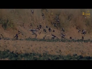 Ilhaam (The Revelation) Video Song ethumb-010.jpg