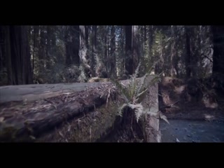 Lgda Nai Si Jass Jee Video Song