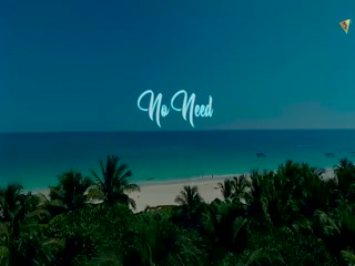 No Need Karan Aujla Video Song