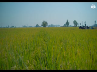 Blessings Of Sister Video Song ethumb-007.jpg